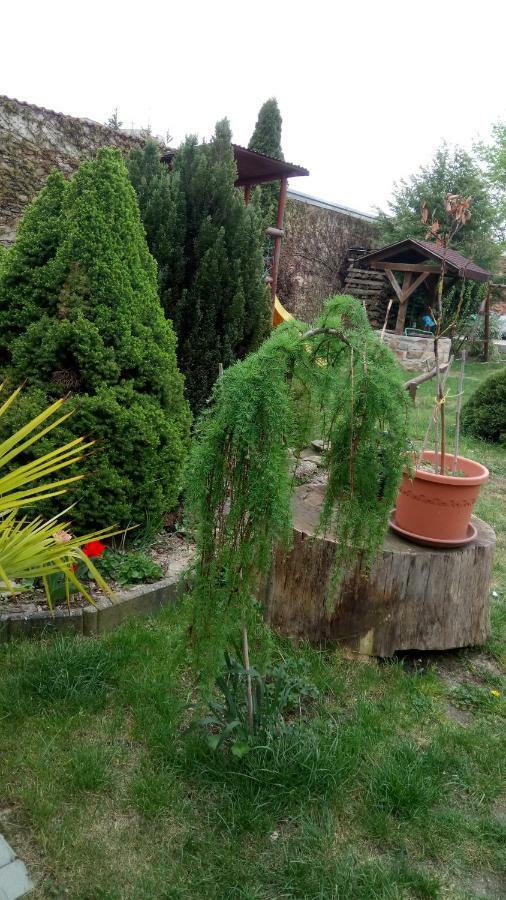 Penzion U Formana Straz nad Nezarkou Exterior photo